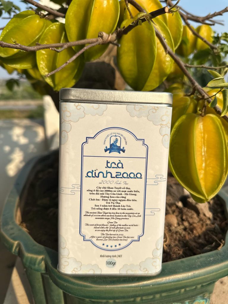 445084c2-1417-4000-b9cd-b5a748f328d7-768x1024