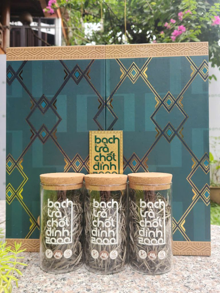 bach-tra-chot-dinh- (1)