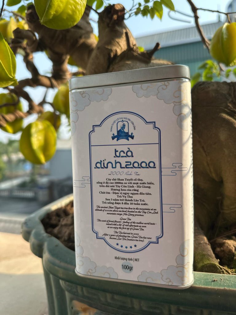 d8e4e932-d46f-49f7-9893-0dc89d3bbe68-768x1024