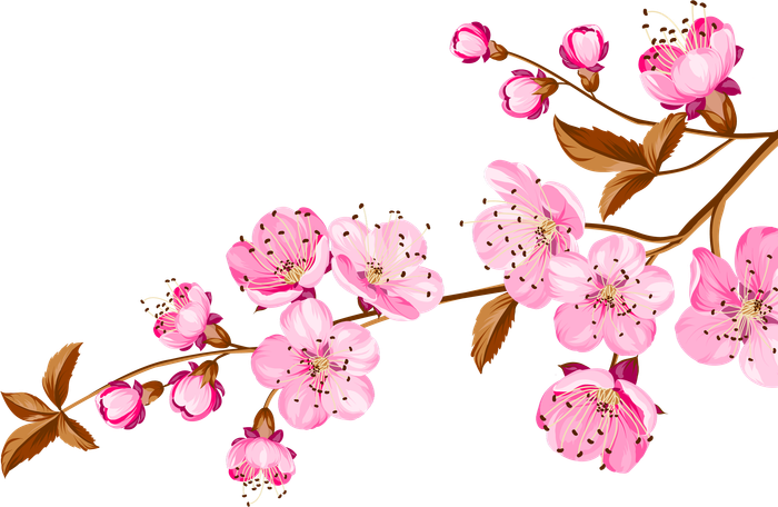 Cành đào trang trí